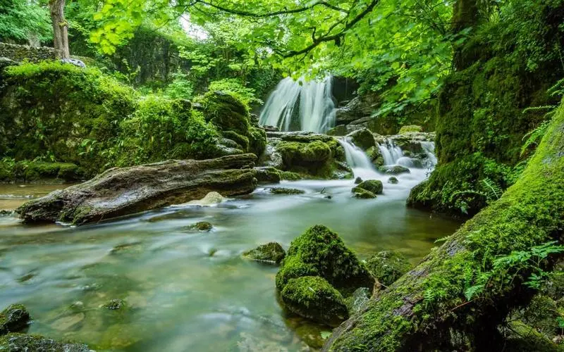 高标准智慧工厂
